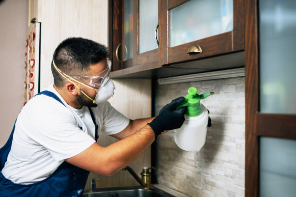 Best Pest Control for Businesses  in Four Corners, MD