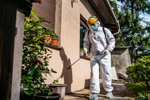 Best Best Pest Control Companies  in Four Corners, MD