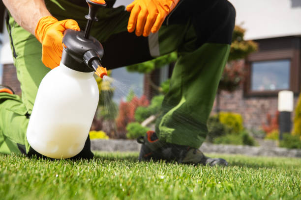 Best Emergency Pest Control  in Four Corners, MD