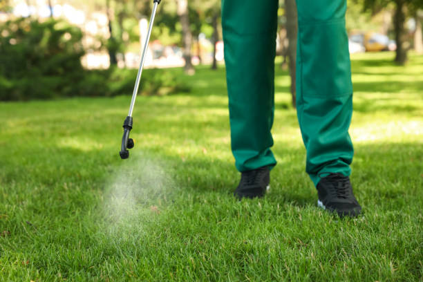 Best Insect Control  in Four Corners, MD