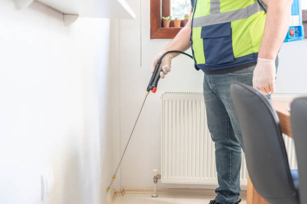 Best Flea Control Services  in Four Corners, MD