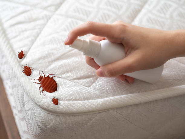 Best Pest Control Near Me  in Four Corners, MD