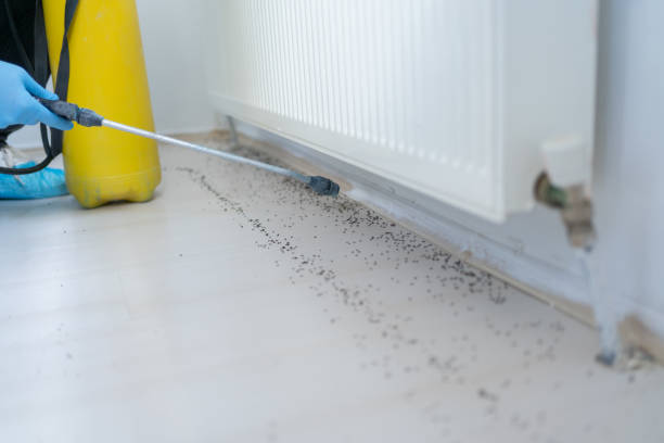 Best Pest Prevention Services  in Four Corners, MD